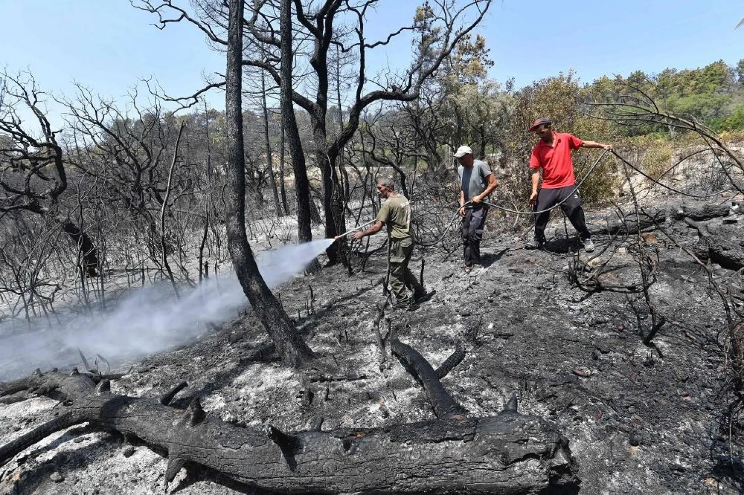  A man sprays water on burned trees to cool them down following a fire, in a forest in Melloula near Tabarka at the north-western Tunisian border with Algeria, on July 20, 2023, amid soaring summer temperatures. (AFP)