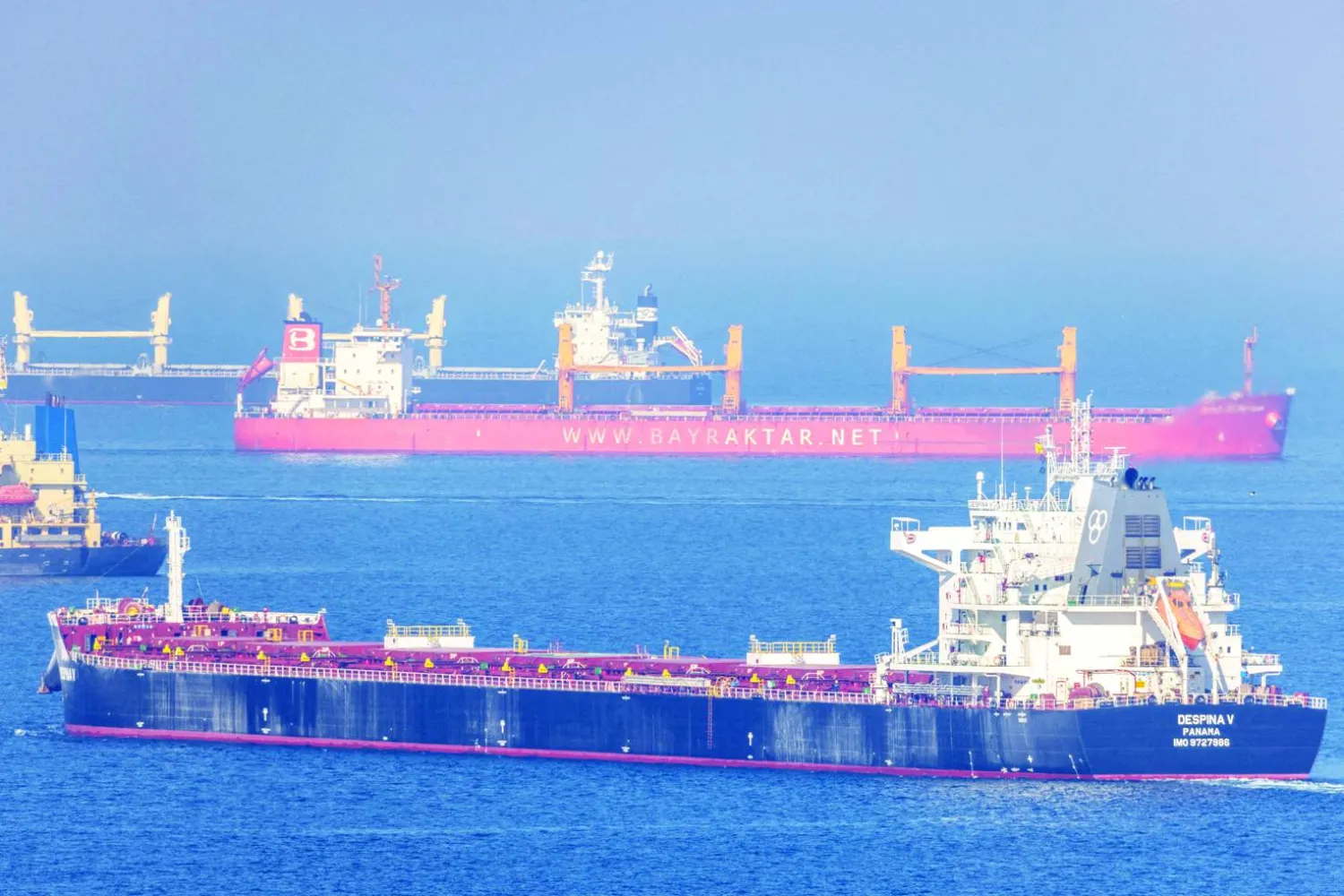 سفينة قرب إسطنبول خلال نقلها شحنة قمح بموجب الاتفاق الروسي الأوكراني في 2 نوفمبر العام الماضي (رويترز)