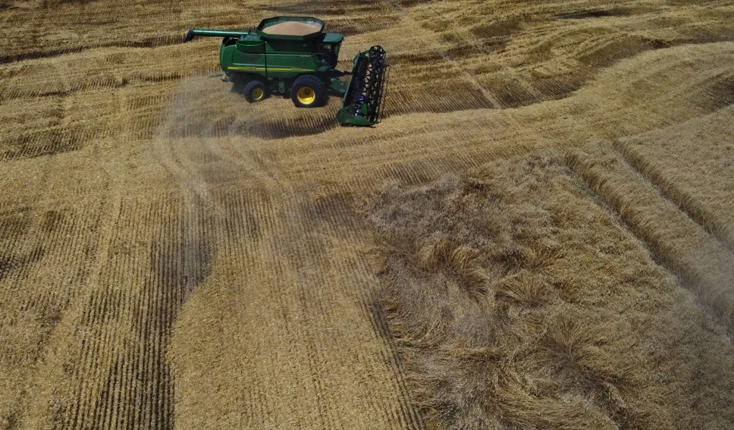 أوكرانيا تُعد من بين أكبر موردي الحبوب في العالم (رويترز)