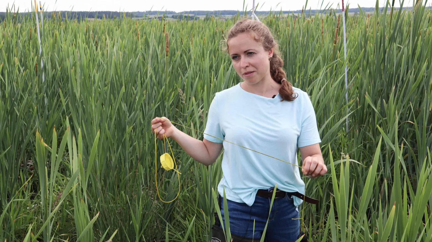 عالمة الأحياء الألمانية ميلينه بريندل في مستنقع مالسين (أ.ف.ب)