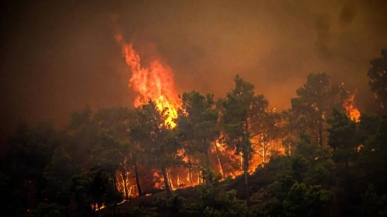 Crews were battling a wildfire scorching part of Greece's Rhodes island. EUROKINISSI / Eurokinissi/AFP