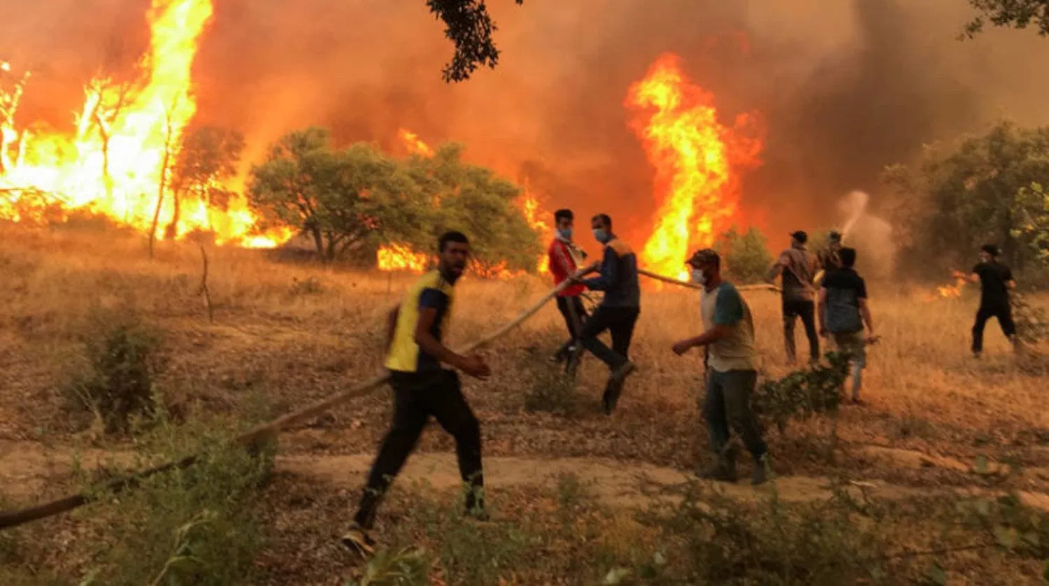 İnsanlar Cezayir'de çıkan yangını söndürmeye yardım ediyor (Reuters)