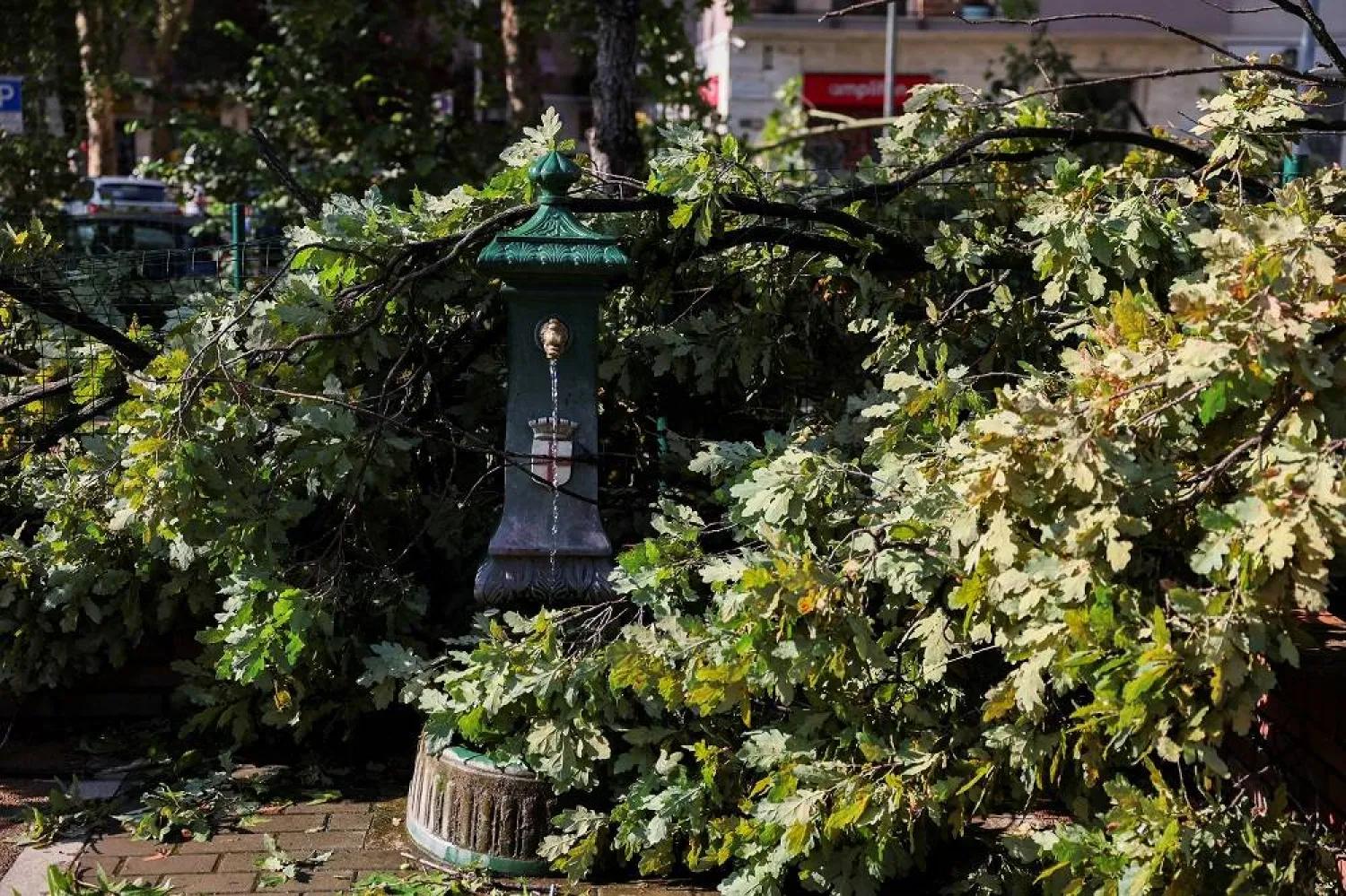 A view shows a fountain almost covered with a fallen tree following thunderstorms and torrential rain in Milan, Italy July 25, 2023. (Reuters)