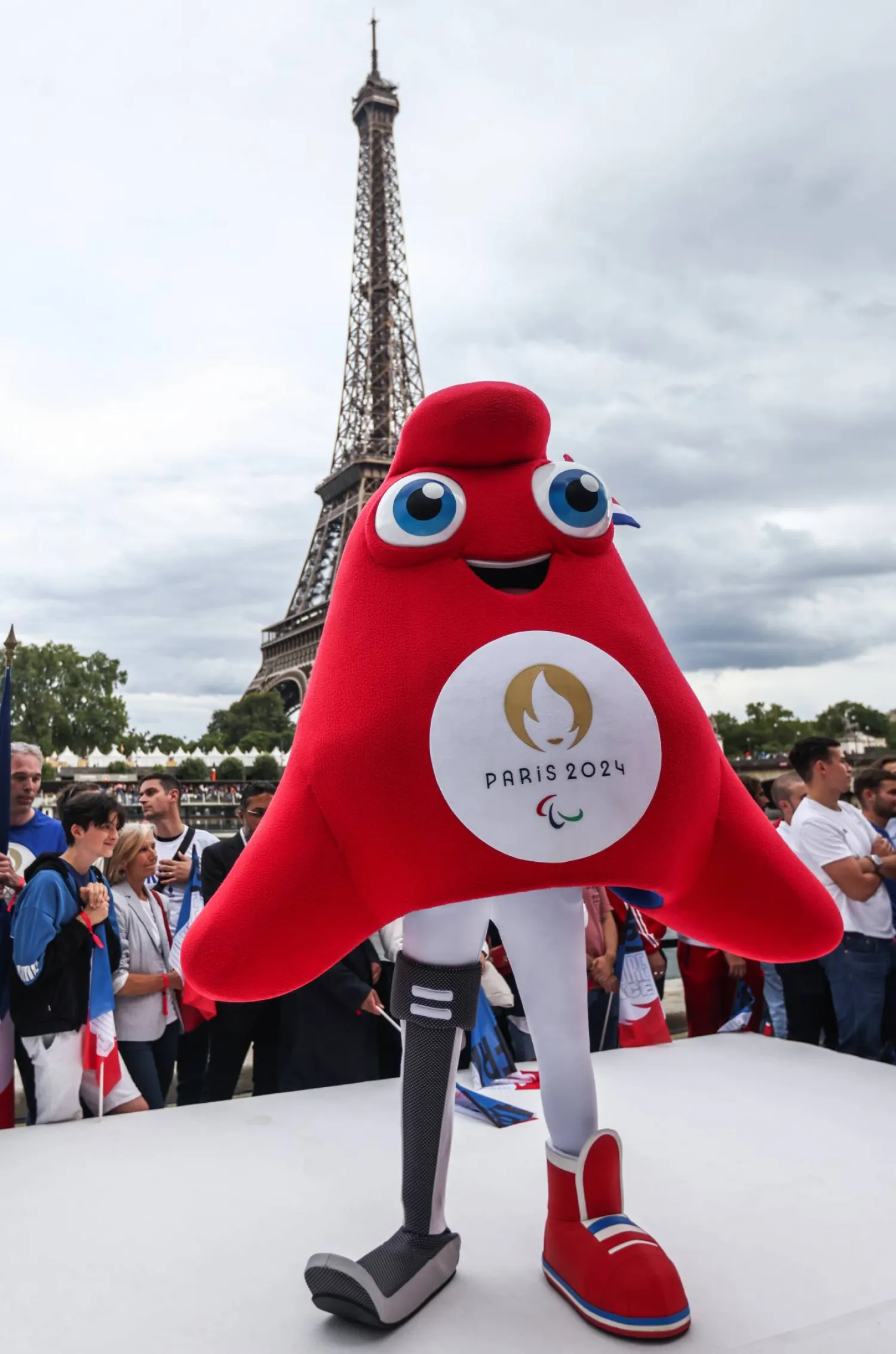 فرنسا جاهزة لتنظيم احترافي (إ.ب.أ)