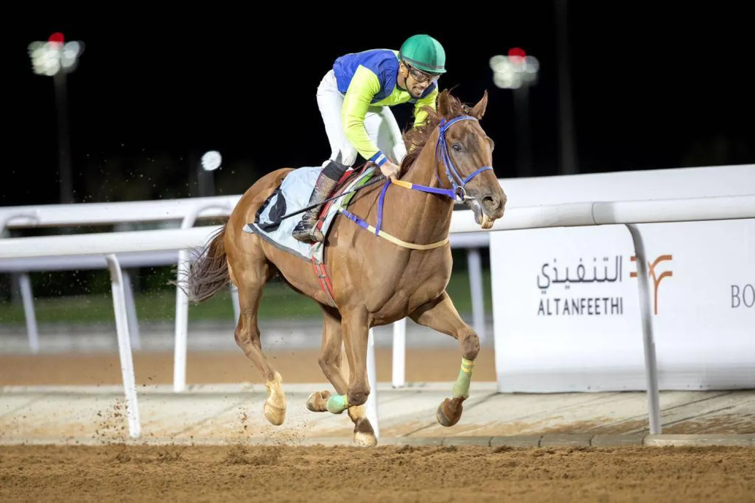 وايلد ريذم خلال مجريات السباق (الشرق الأوسط)