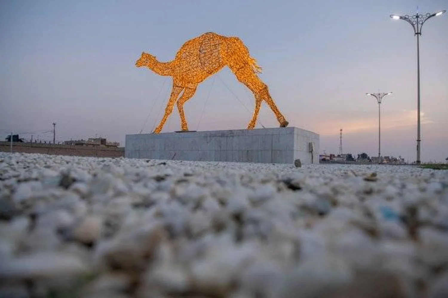 قرية العرفاء باتت تشكل سنوياً مقيضاً للهجن (واس)