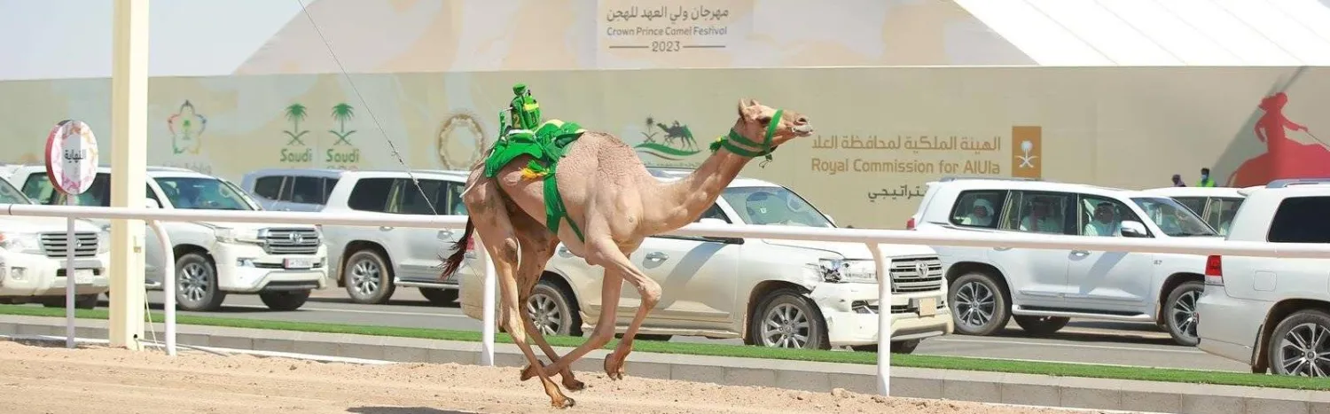 «هداد» خلال سباق الشوط الرئيسي (واس)