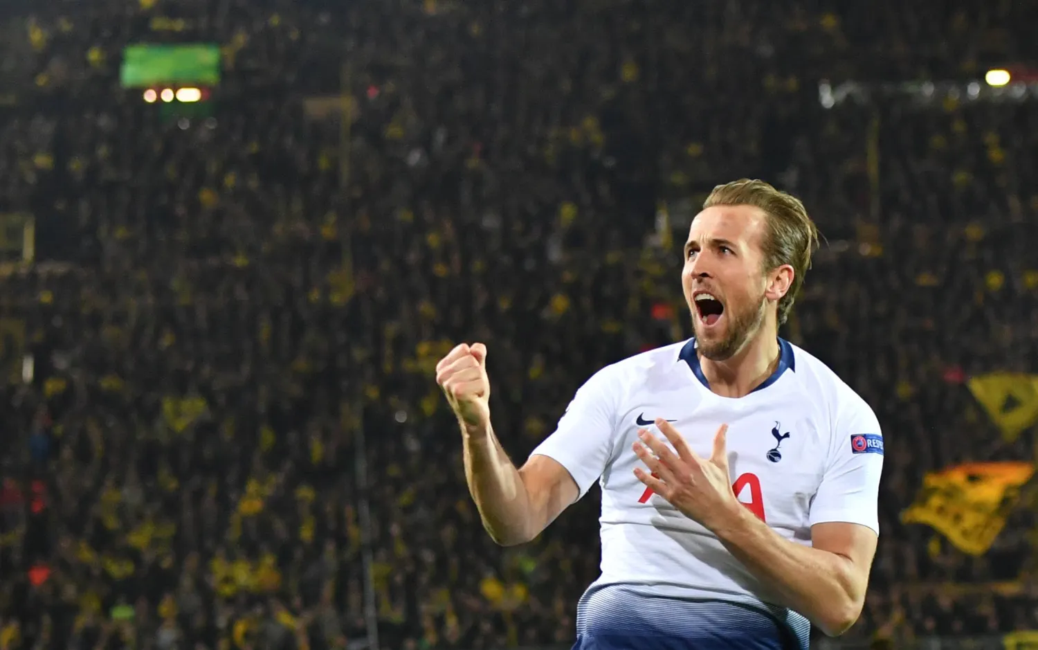 هاري كين (د.ب.أ)