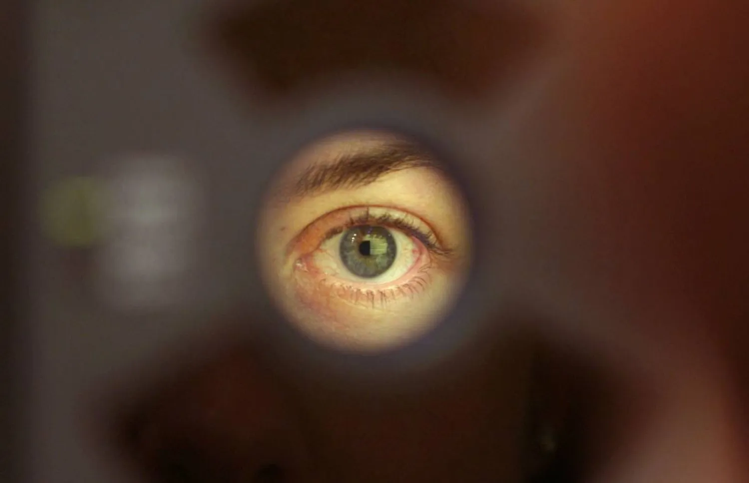 اكتشاف صلة بين الخلايا المناعية المعوية والغلوكوما