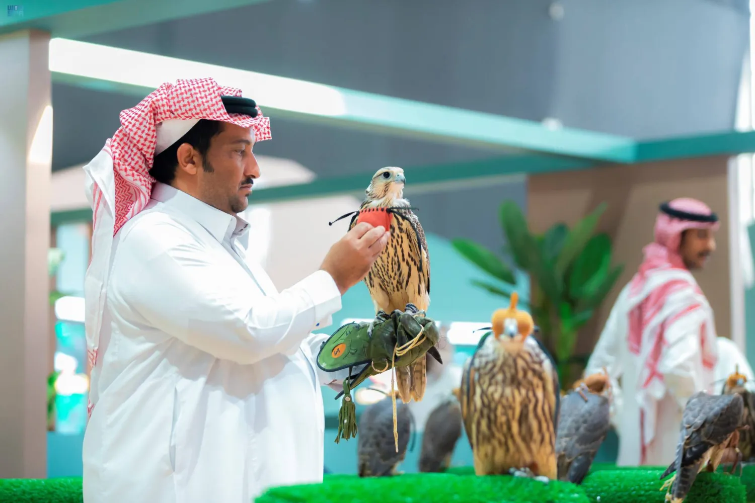 صقار سعودي أشاد بالمزاد السعودي للصقور (واس)