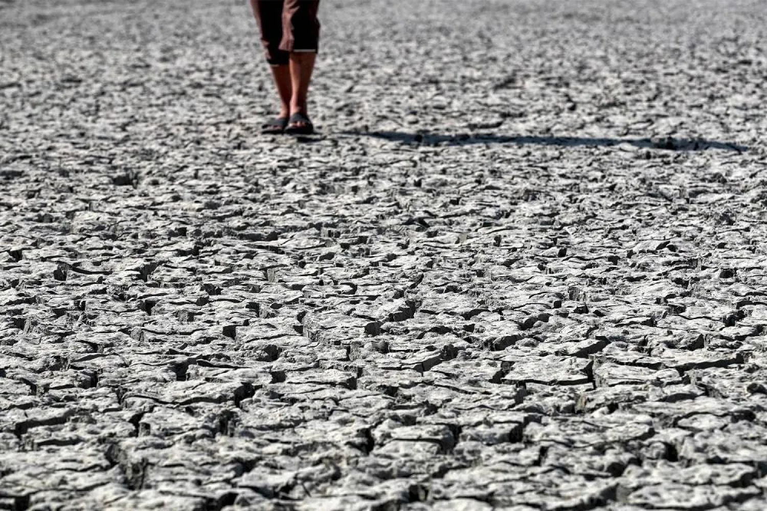A man walks on cracked mud covering the surface of a dry fish farm in the village of Albu Mustafa in Hilla, about 100 km (62 miles) south of Baghdad on July 6, 2023, following a crack down by the Iraqi government on unauthorized ponds in an effort to meet the country's water demands. (AFP)