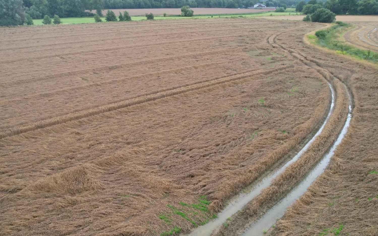 حقول قمح غارقة في مياه الأمطار الغزيرة في إحدى المقاطعات الألمانية... بينما ترتبك سوق الحبوب العالمية نتيجة التصعيد في البحر الأسود (رويترز)