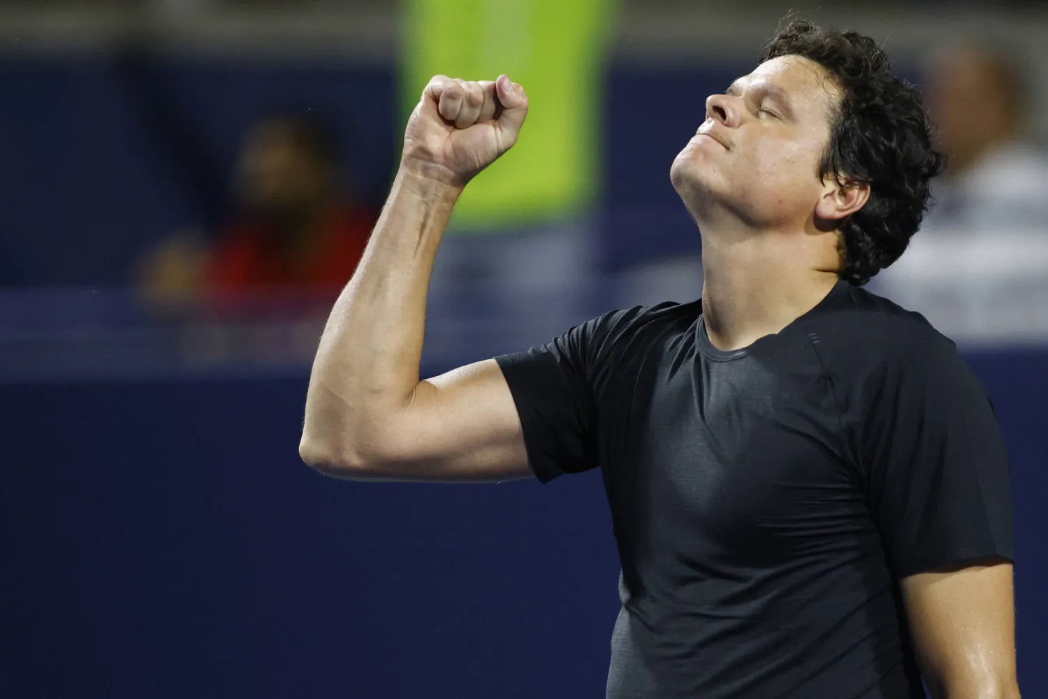 ضربة إرسال ساحقة حققت الفوز لراونيتش (أ.ب)