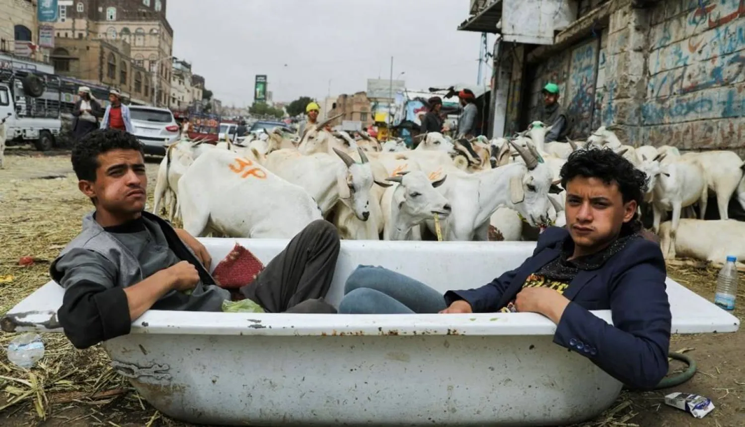 شابان من تجار المواشي ينتظران قدوم الزبائن في صنعاء (رويترز)