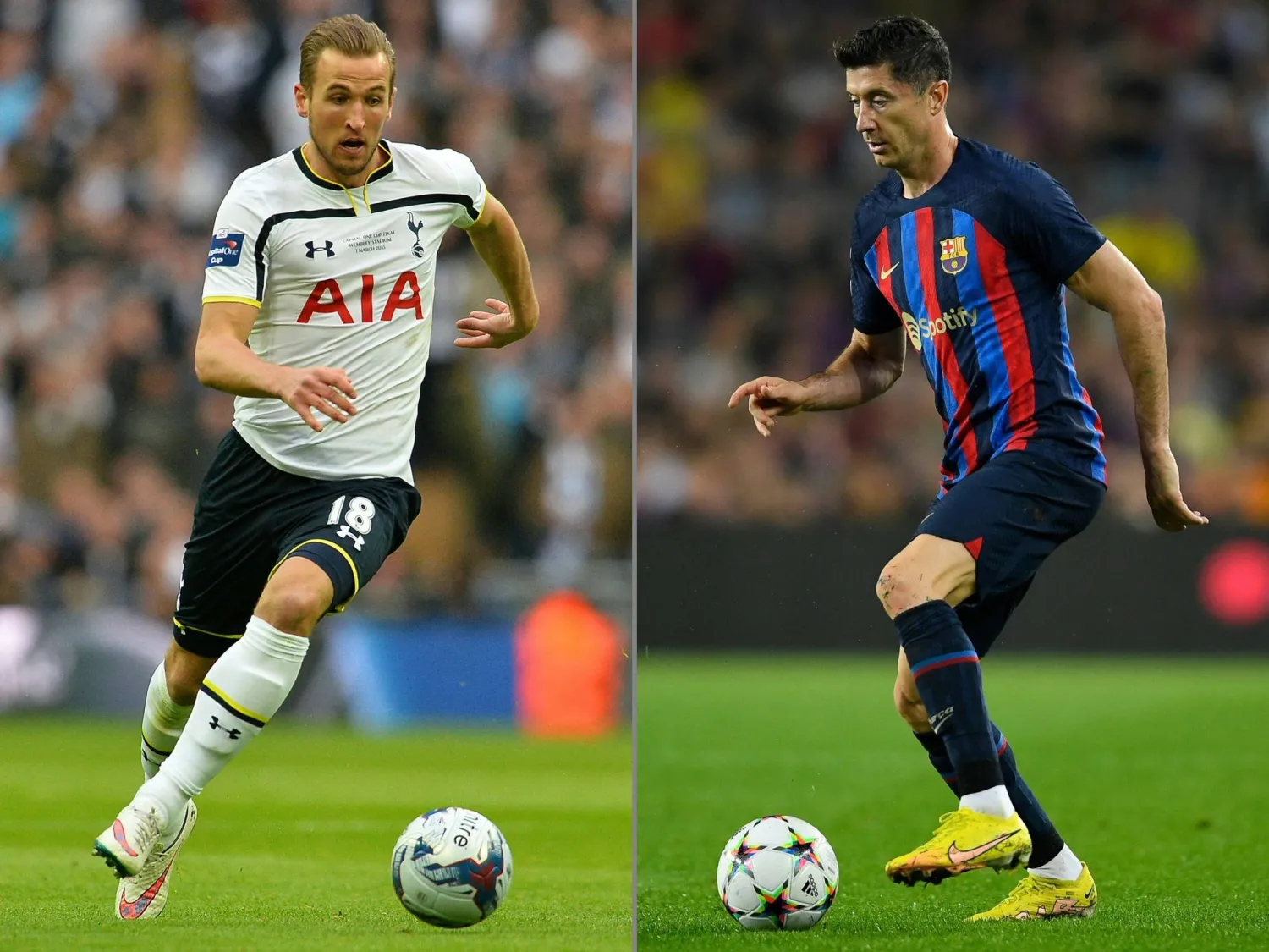 هل سيملأ هاري كين الفراغ الذي تركه روبرت ليفاندوفسكي (أ.ف.ب)