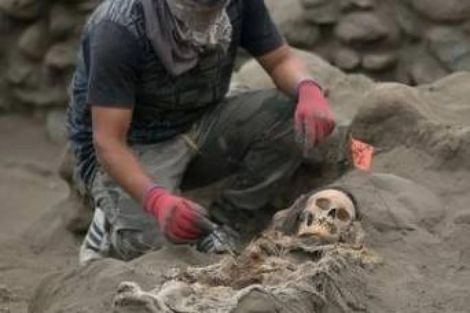 اكتشاف رفات طفل «مصاص للدماء» تعود لـ400 عام