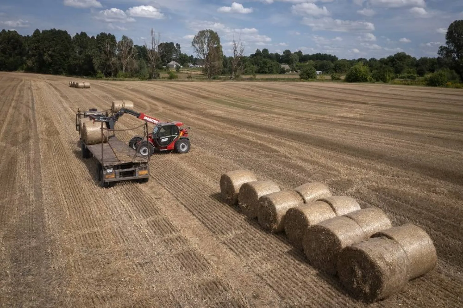 A tractor collects straw on a field in a private farm in Zhurivka, Kyiv region, Ukraine, Thursday, Aug. 10, 2023. (AP)