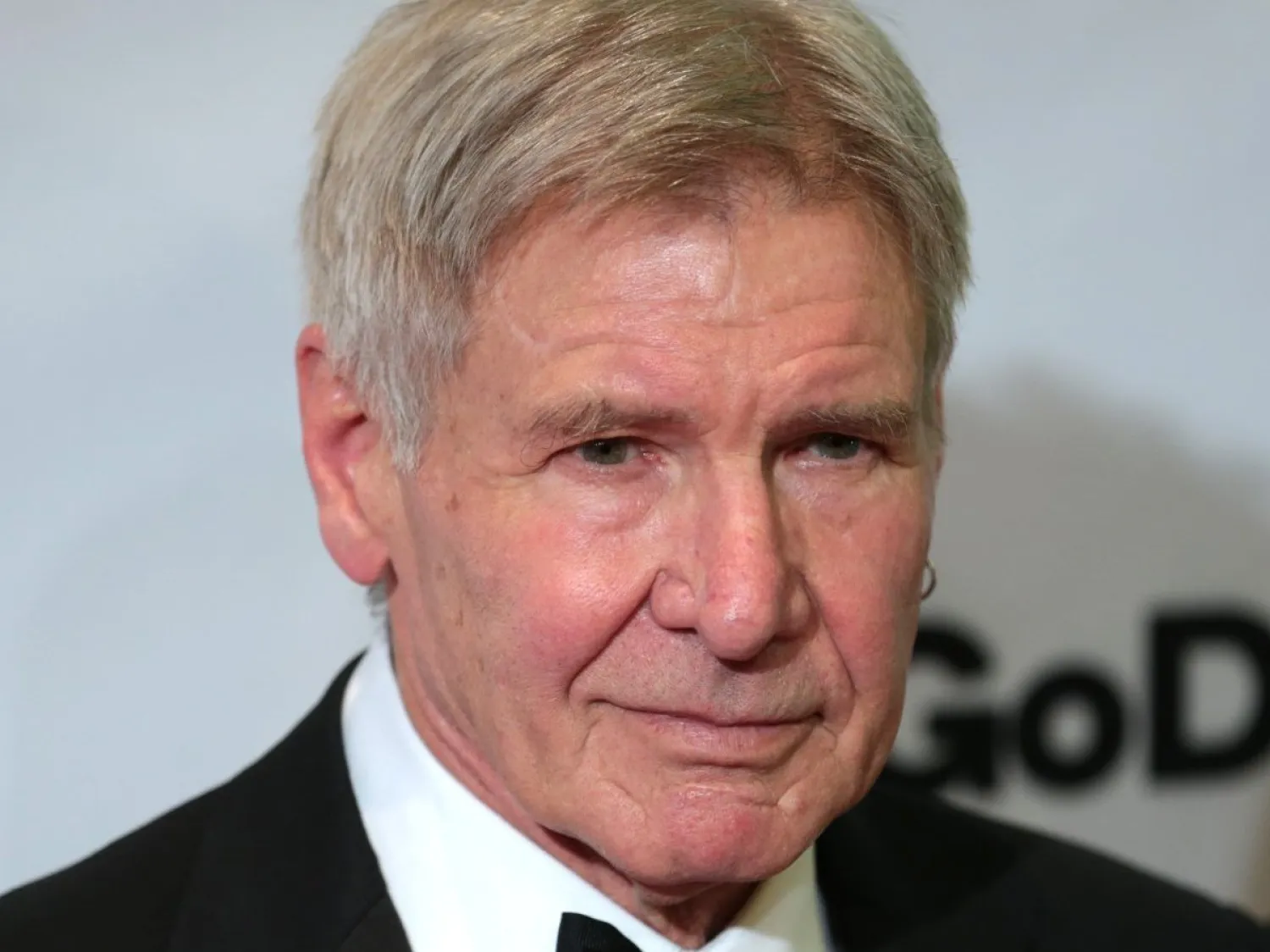 الممثل الأميركي هاريسون فورد