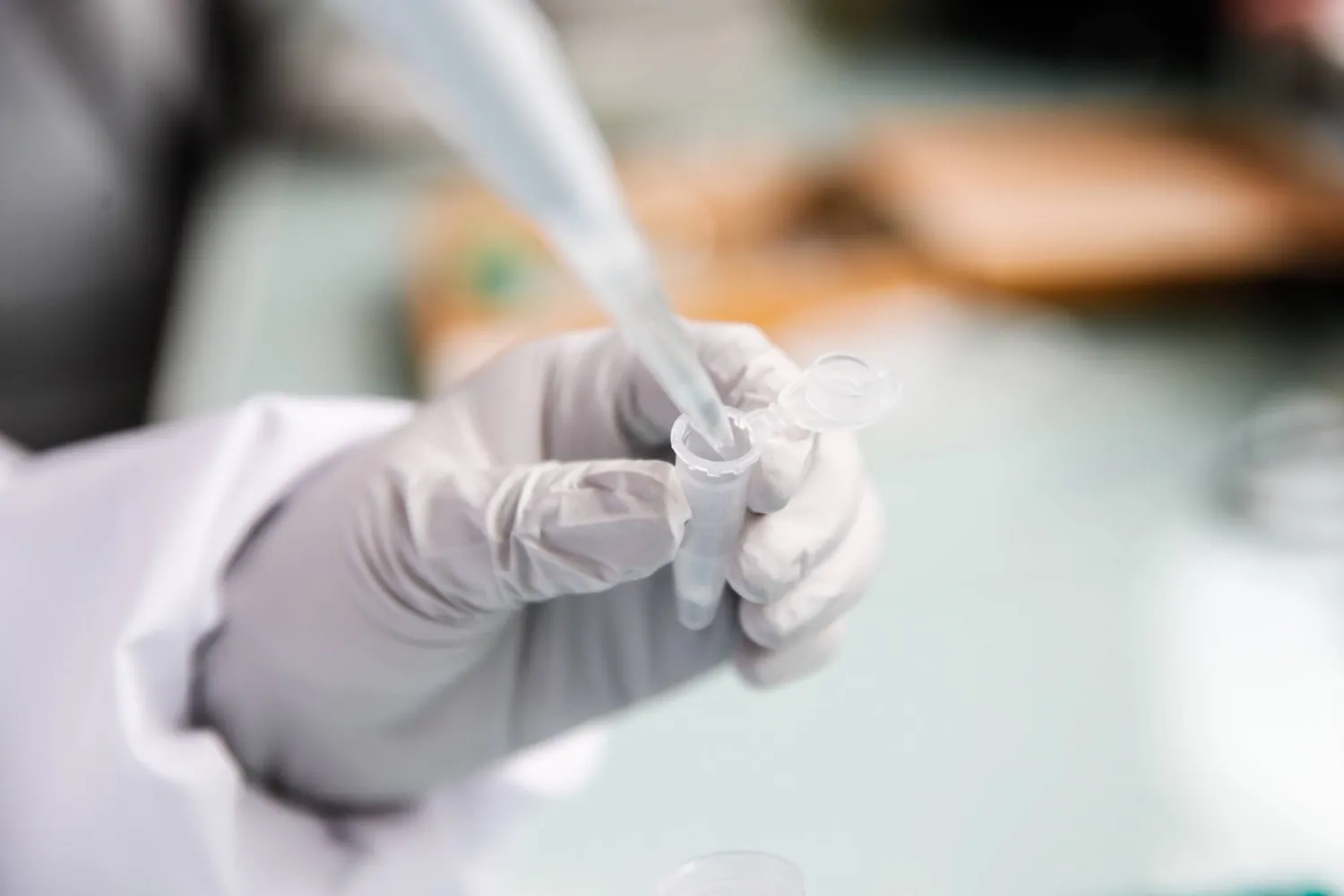 صورة من داخل معمل (إ.ب.أ)