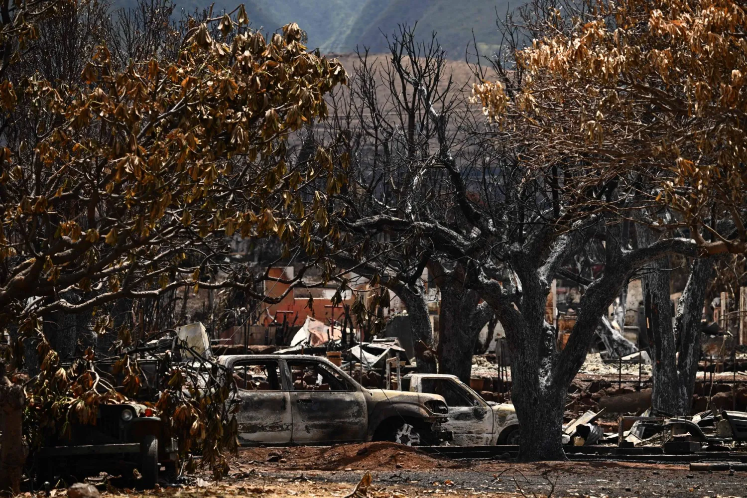 سيارات محترقة ومنازل مدمرة تظهر في أعقاب حرائق الغابات في ماوي بهاواي (أ.ف.ب)