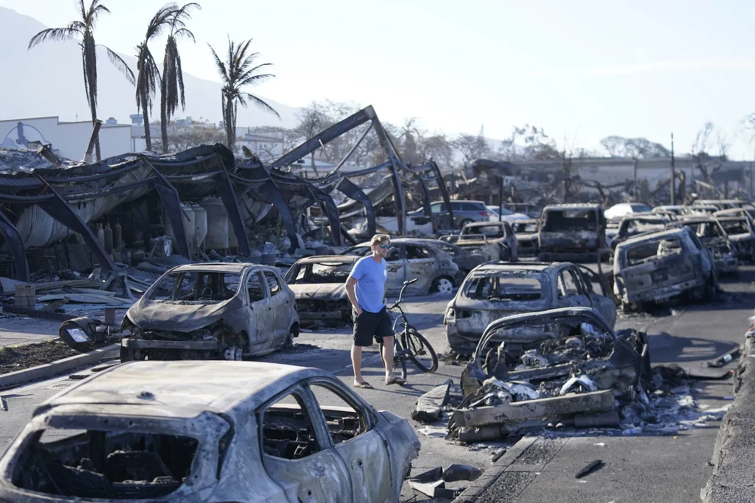 A man walks through wildfire wreckage in Lahaina, Hawaii (AP)