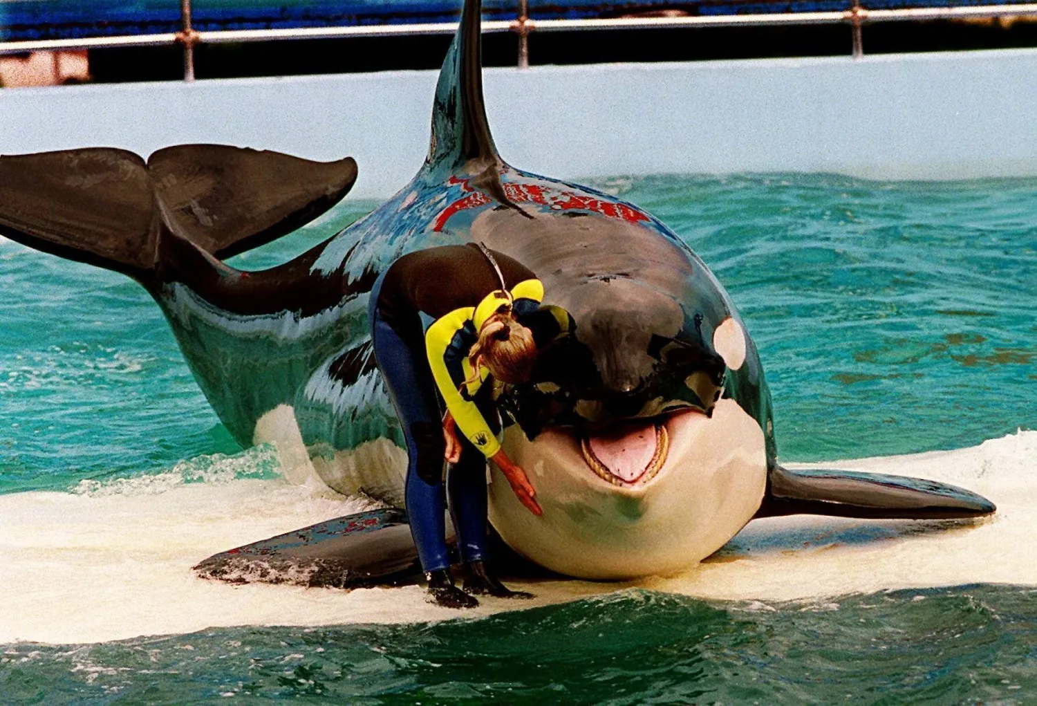FILE - Trainer Marcia Hinton pets Lolita at the Miami Seaquarium in Miami, March 9, 1995. (Nuri Vallbona/Miami Herald via AP, File)
