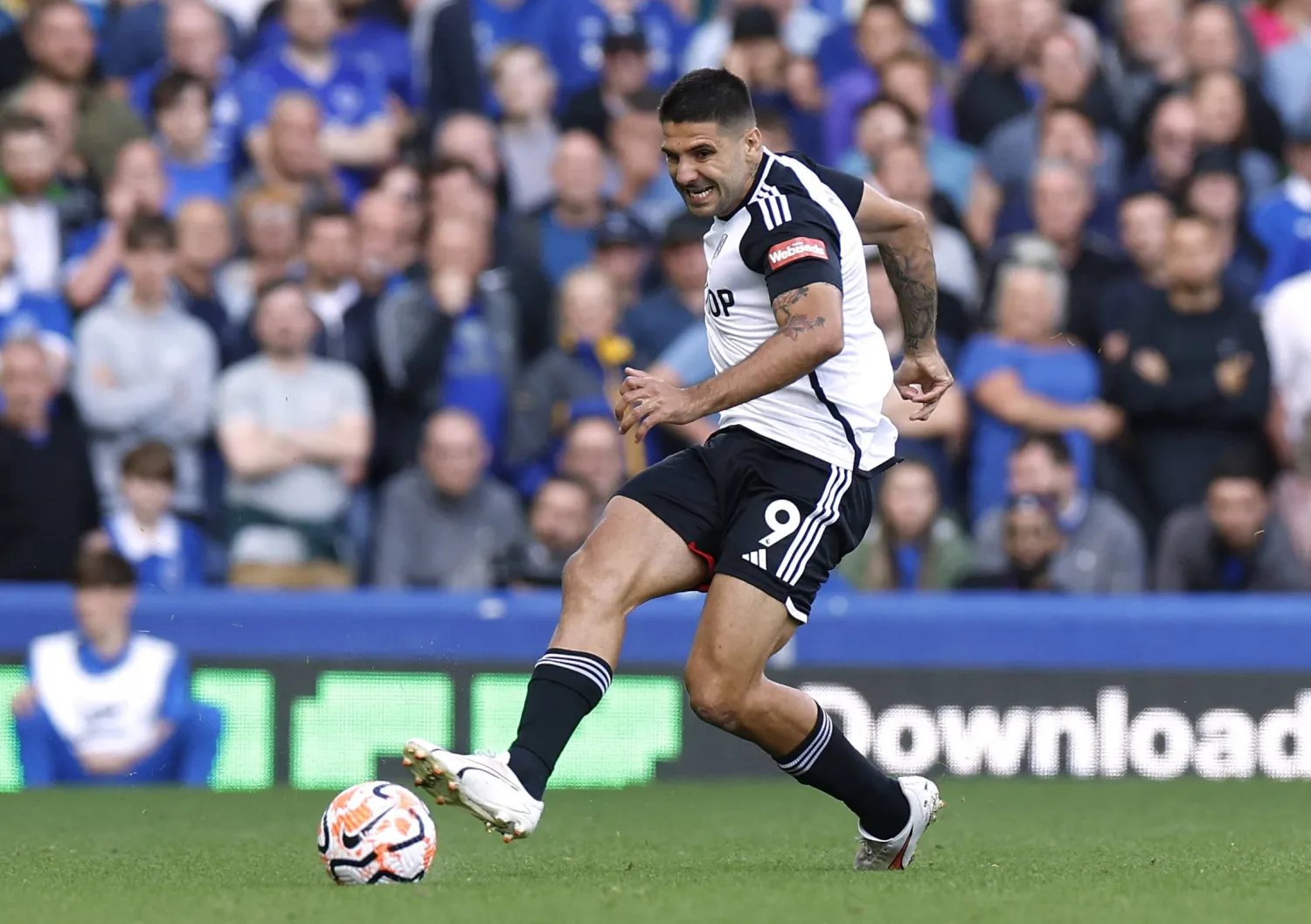 ميتروفيتش (رويترز)