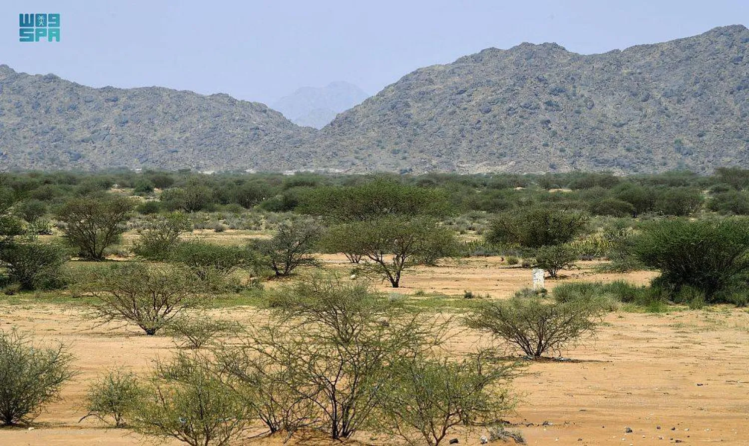 تهدف السعودية إلى تسخير التقنية الحديثة لمكافحة التصحر (واس)