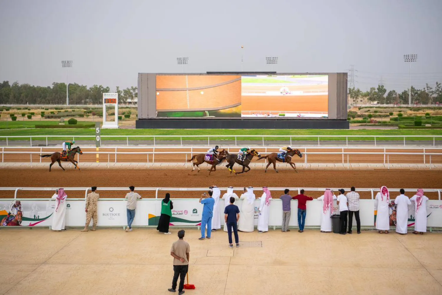 تأتي هذه الفحوصات للخيل للتأكد من خلوها من الأمراض (الشرق الأوسط)