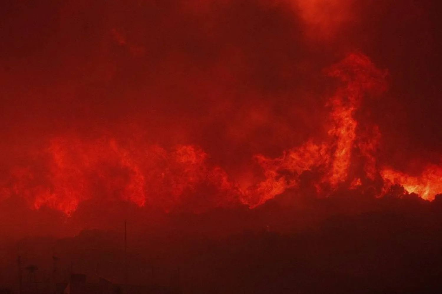 Flames burn a forest during a wildfire in Avantas village, near Alexandroupolis town, in the northeastern Evros region, Greece, Monday, Aug. 21, 2023. (AP)