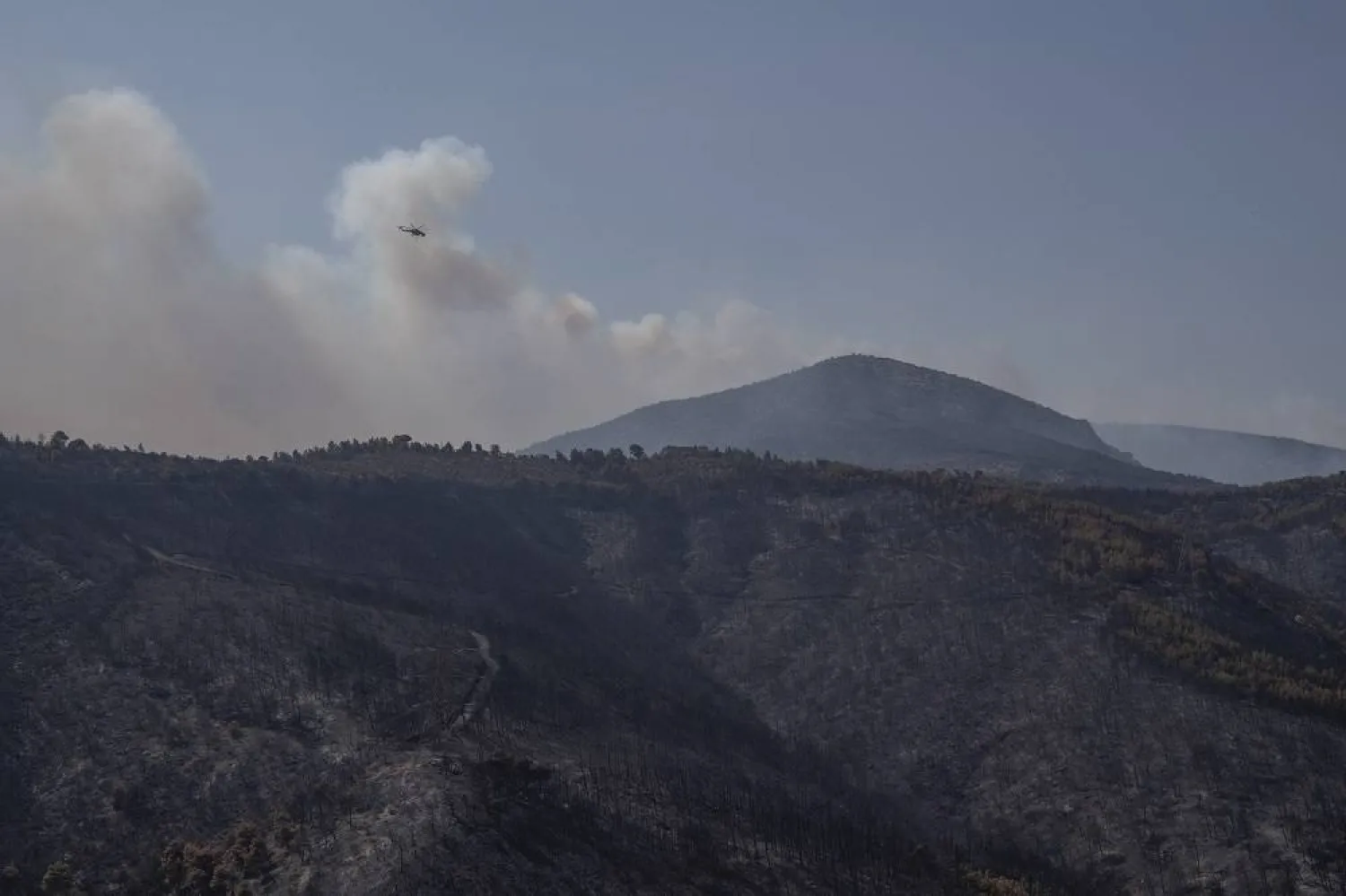 A helicopter operates near the Fyli suburb, northwest Athens, Greece, Friday, Aug. 25, 2023. (AP)