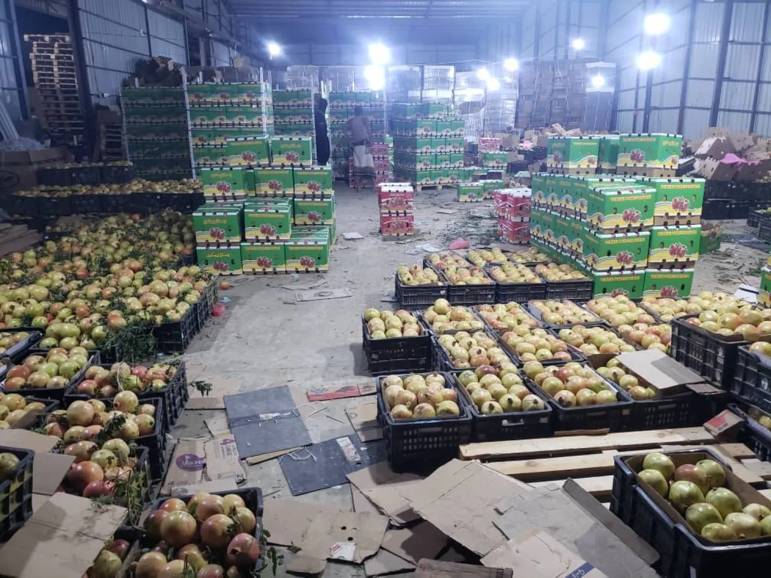 يعجز المستهلكون اليمنيون عن شراء الفواكه رغم وفرتها وتراجع أسعارها (إكس)