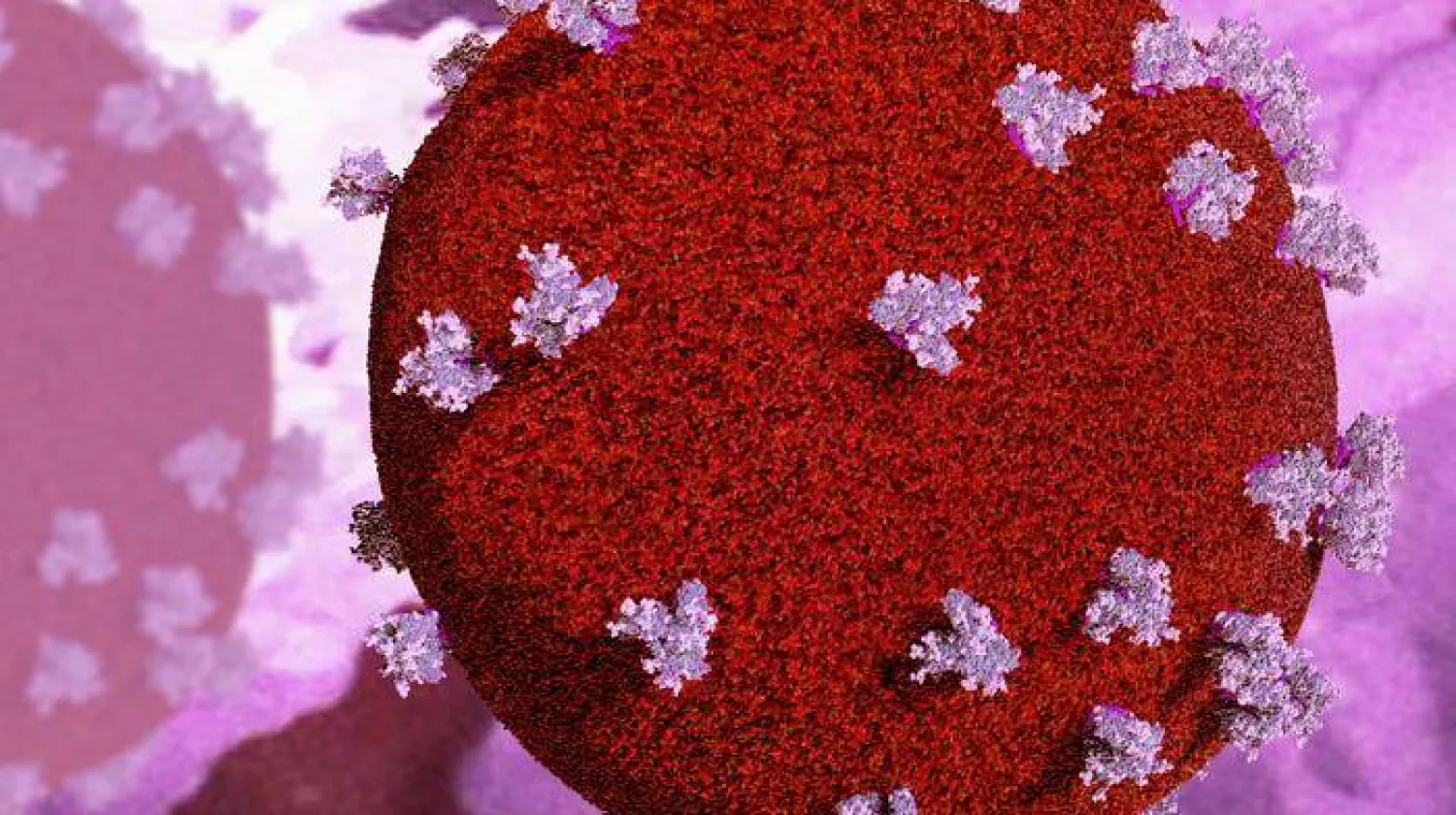 الخلايا المُصابة في حالة سُبات تتسبّب ببقاء «الإيدز» في الجسم (والتر وإليزا هول للبحوث الطبية)