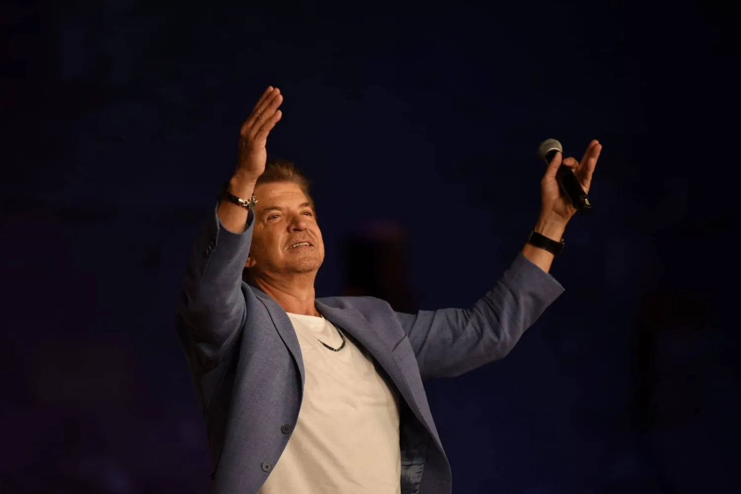 توفيق خلال حفله في قلعة صلاح الدين التاريخية (إدارة المهرجان)