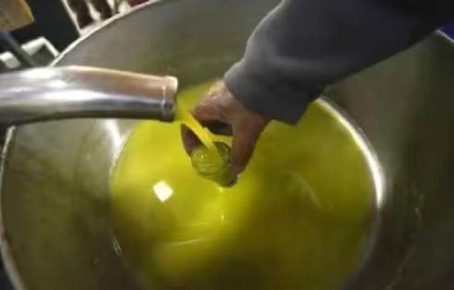 خبير: نوع زيت الطهي يلعب دورًا محوريًا برحلة فقدان الوزن !