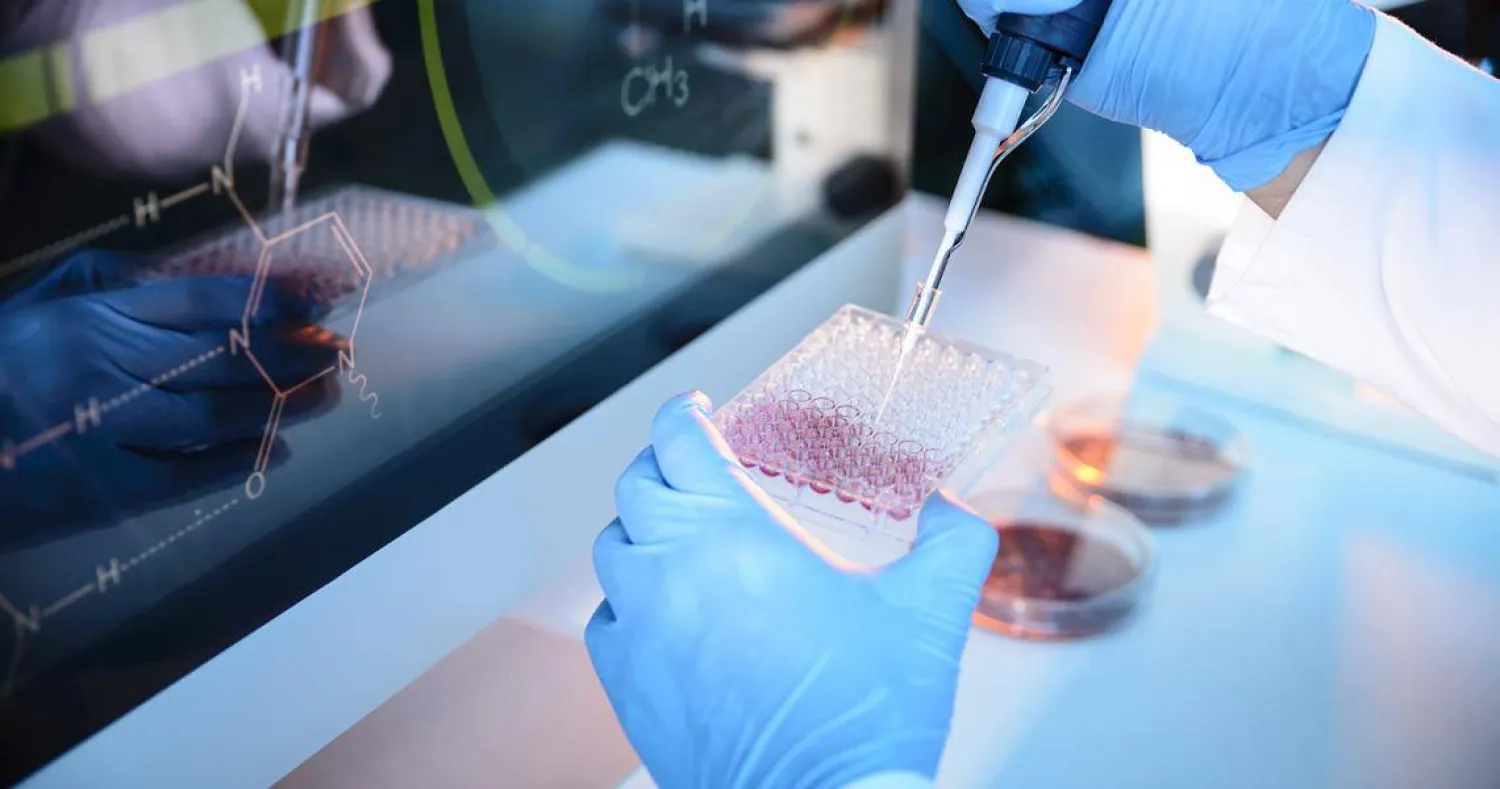 اكتشاف مادتين تجعلان الخلايا السرطانية المقاومة أكثر حساسية بنحو 30 مرة للعلاج الكيميائي (بابليك دومين)