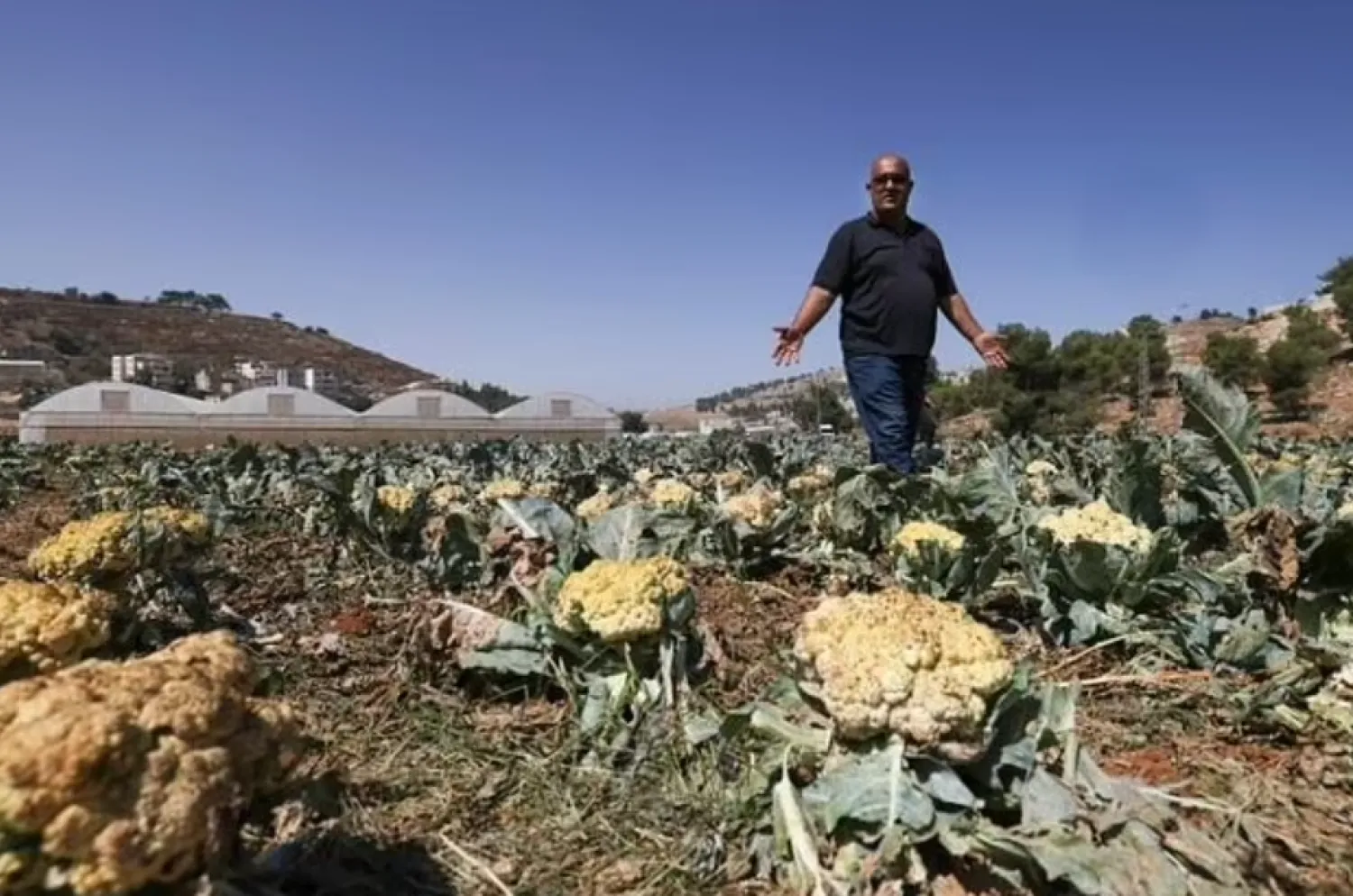 Palestinian farmer Bassam Dudin can no longer draw water from his wells since Israeli forces poured cement into them- AP
