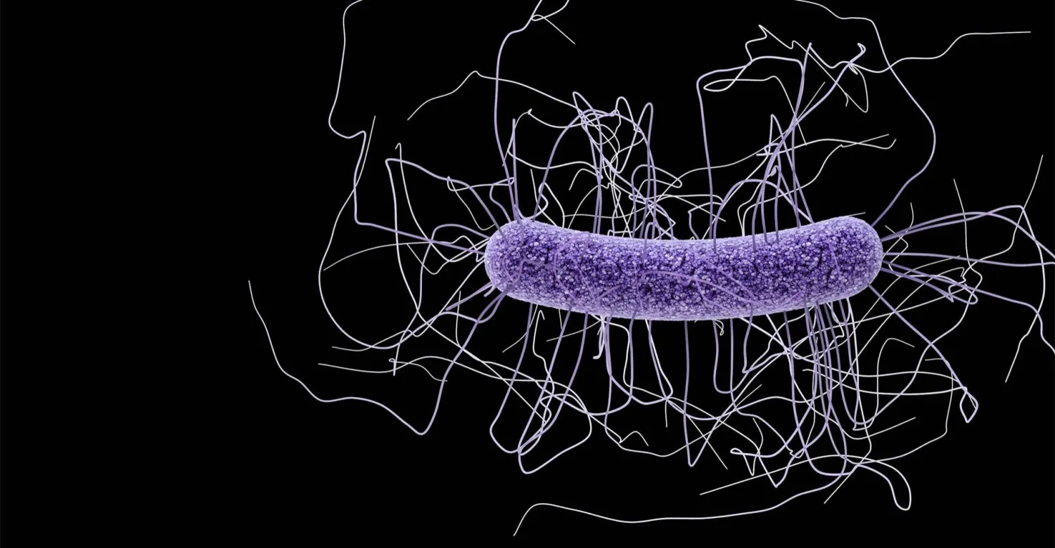 طبيبة تربط البكتيريا بالذكاء والمزاج !؟