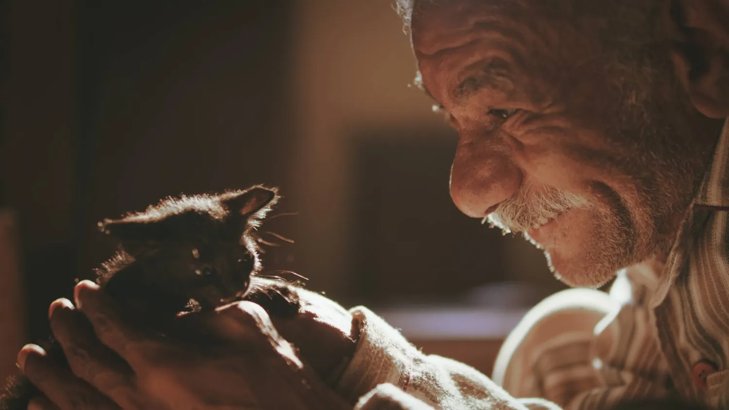 الفنان سيد رجب في لقطة من الفيلم (إدارة المهرجان)