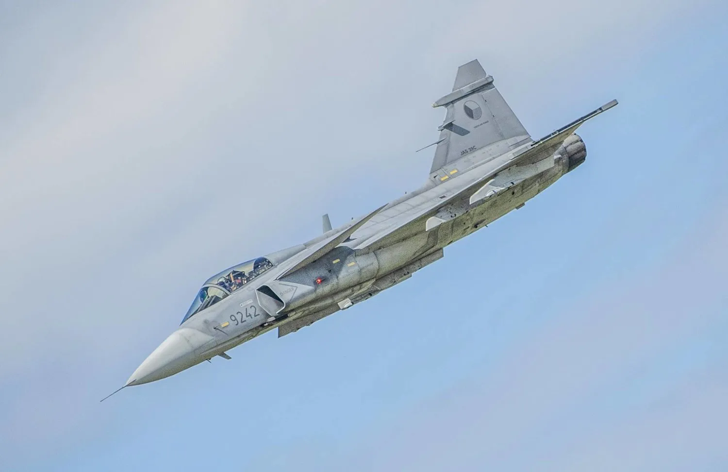 Gripen savaş uçağı. ( DPA)