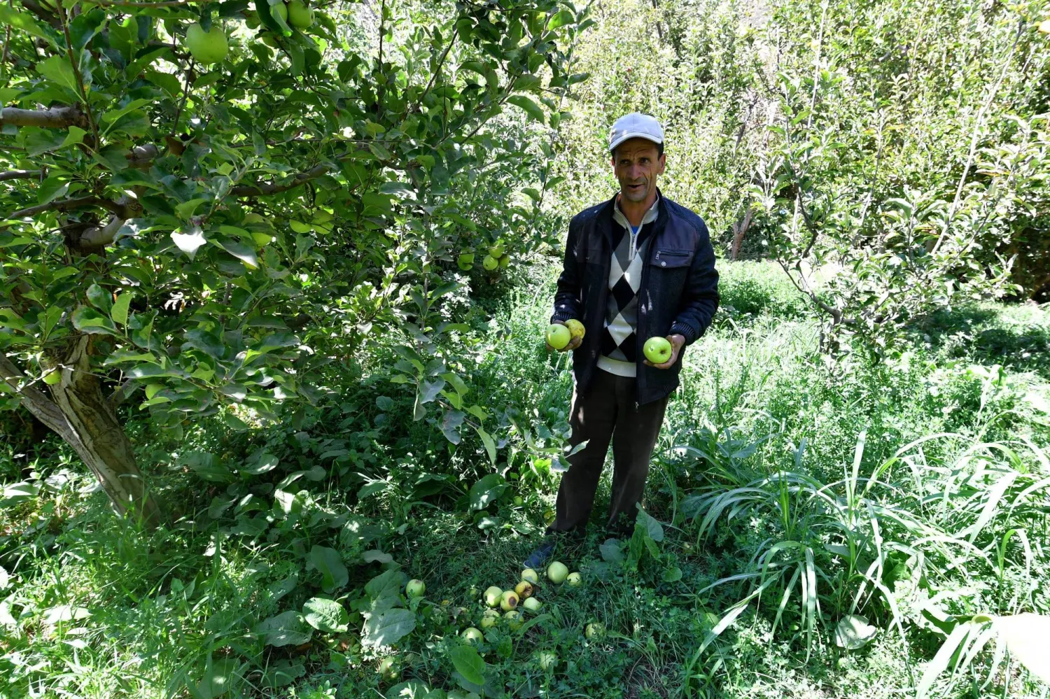 مزارع يعرض غلته من التفاح في حقول تضررت جراء الزلزال (أ.ف.ب)
