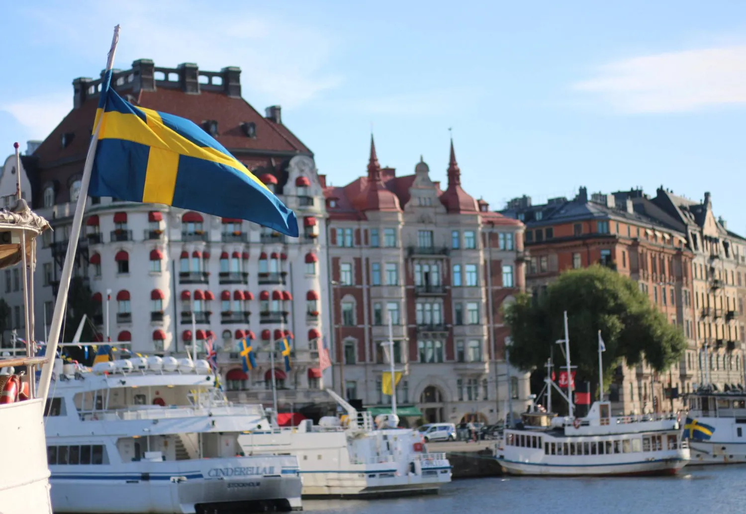 A Swedish flag flutters in front of residential houses in Stockholm, Sweden, September 14, 2023. REUTERS/Marie Mannes