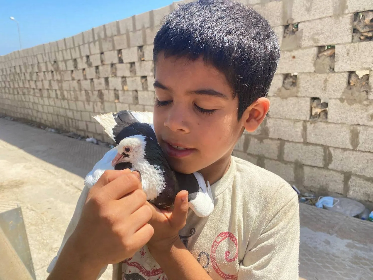 صبي ليبي يحمل حمامة عقب الفيضانات في درنة بليبيا 15 سبتمبر 2023 (رويترز)