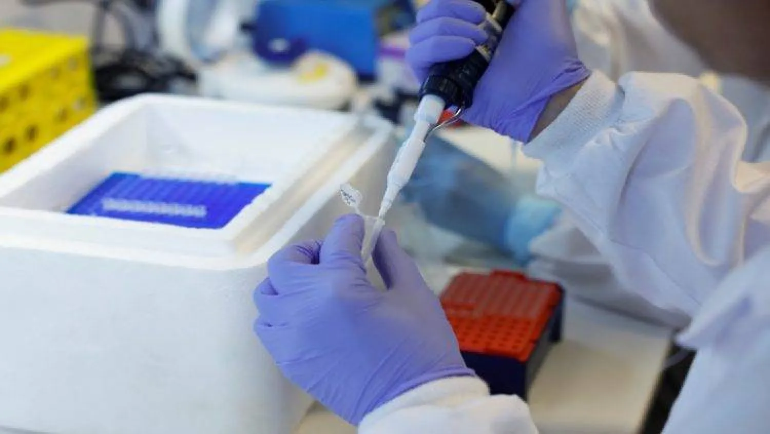 استخراج حمض نووي بشري عمره 6000 عام شرق الصين