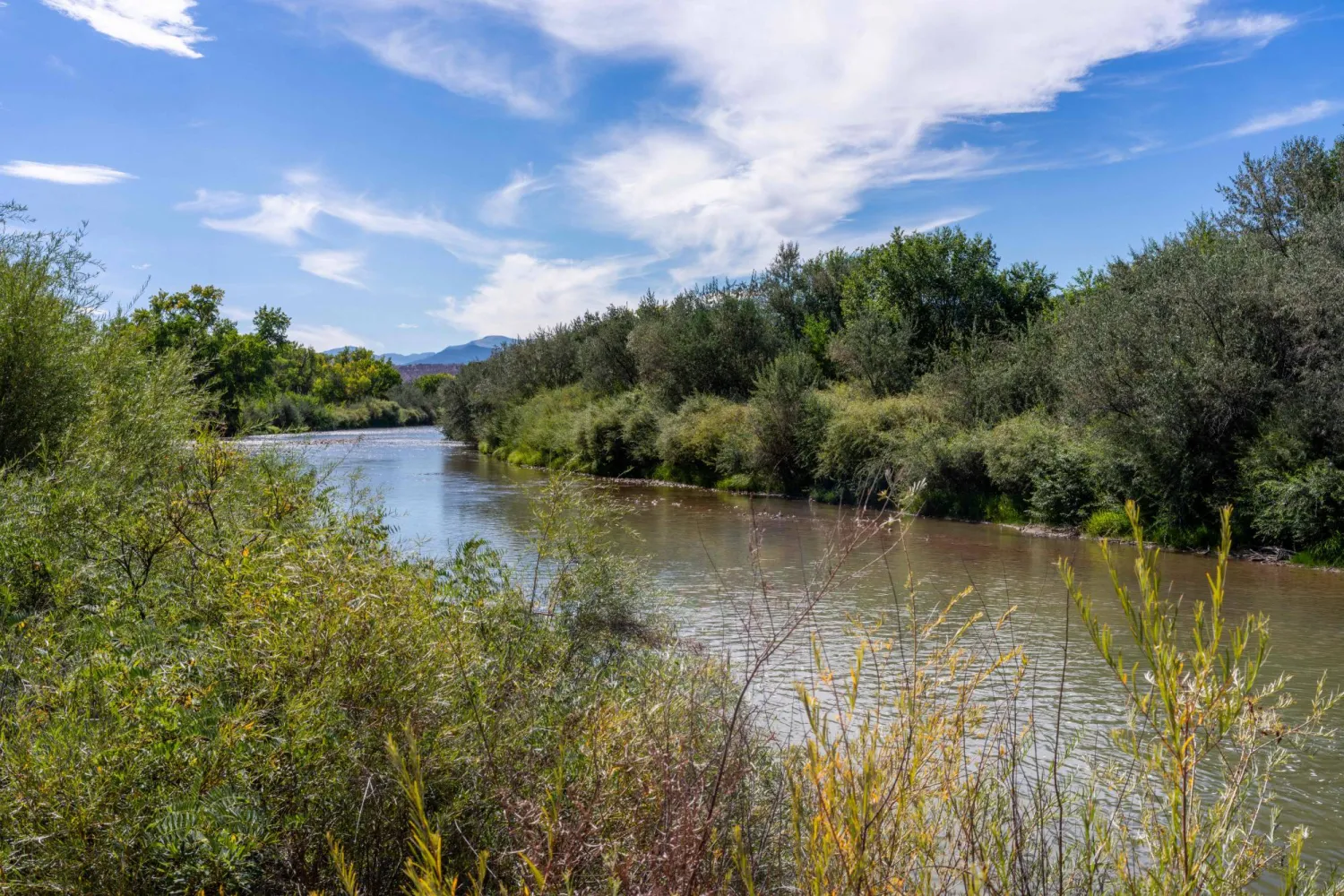 نهر ريو غراندي يتدفق في اتجاه مجرى نهر إل كانغريخو في 25 سبتمبر 2023 في غابة ريو غراندي الوطنية كولورادو (أ.ف.ب)