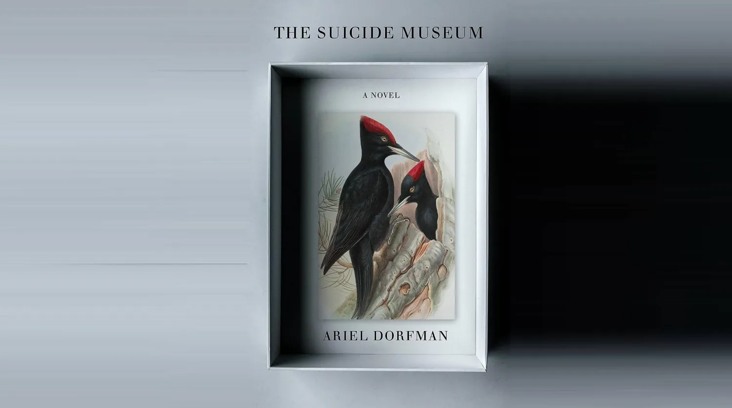 غلاف الرواية