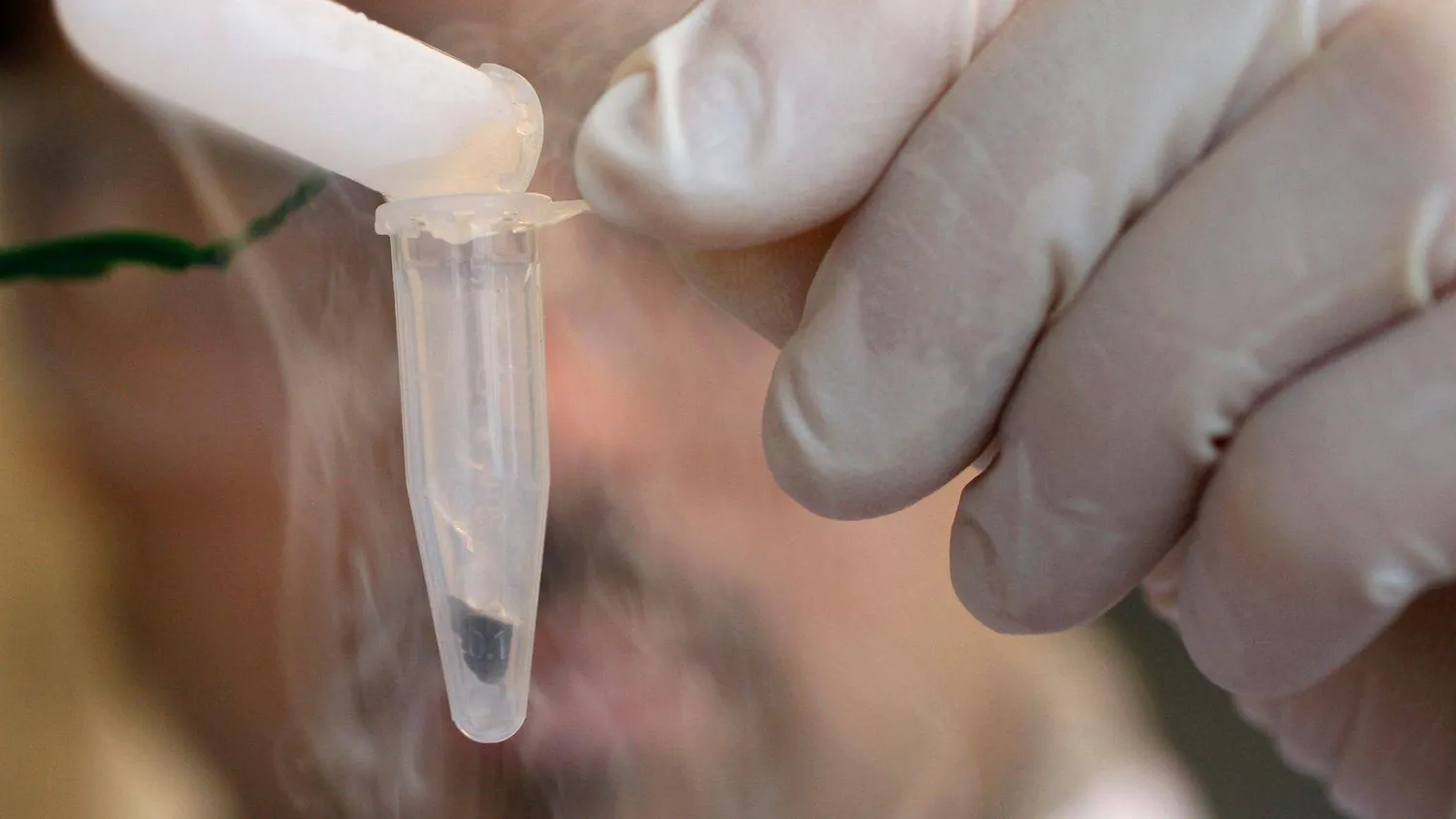 أدوية المستقبل تحلل الأمراض أو تزيلها