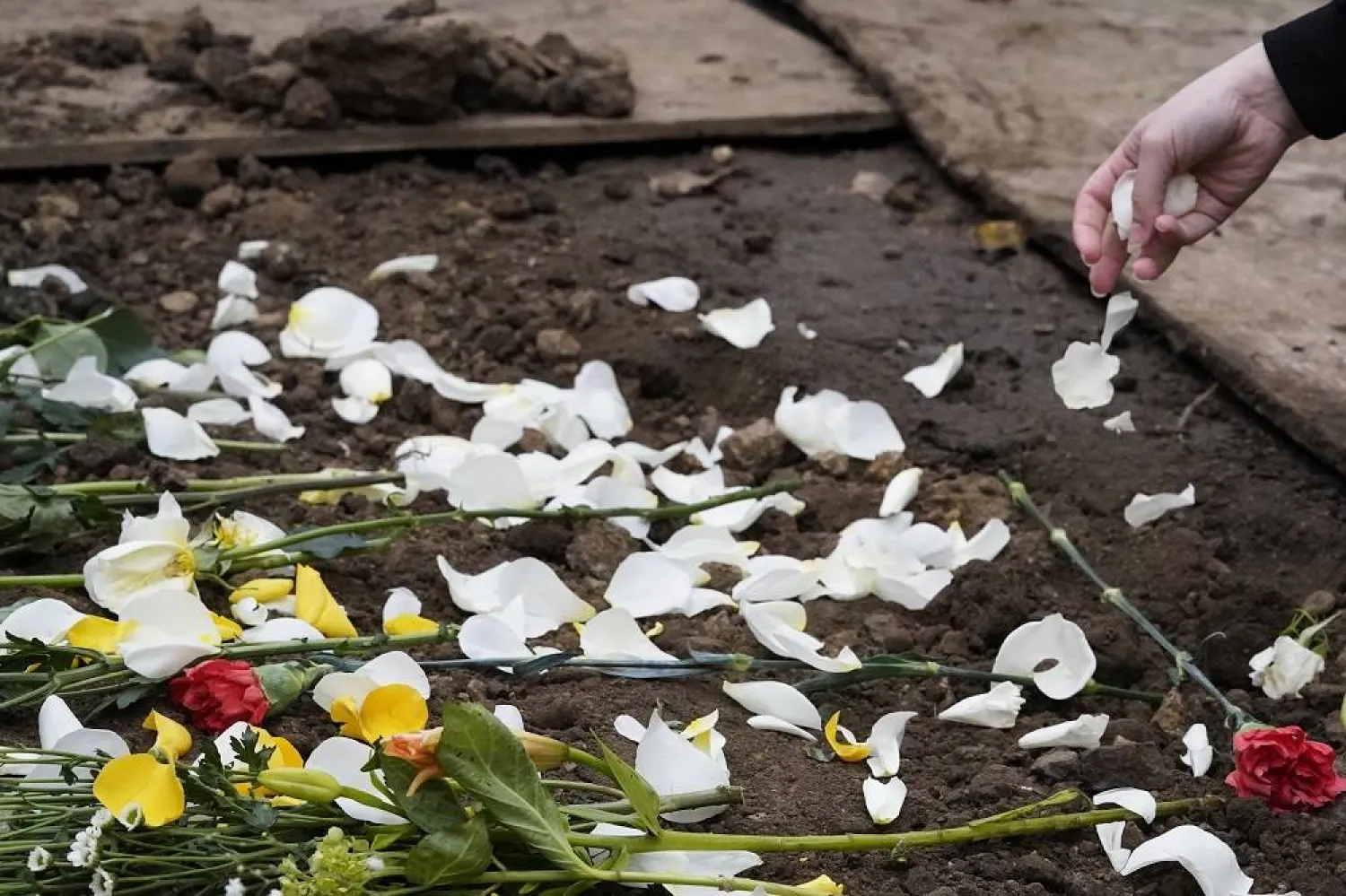 A Muslim community member leaves flowers at Wadea Al-Fayoume's grave in LaGrange, Ill., Monday, Oct. 16, 2023. (AP) 