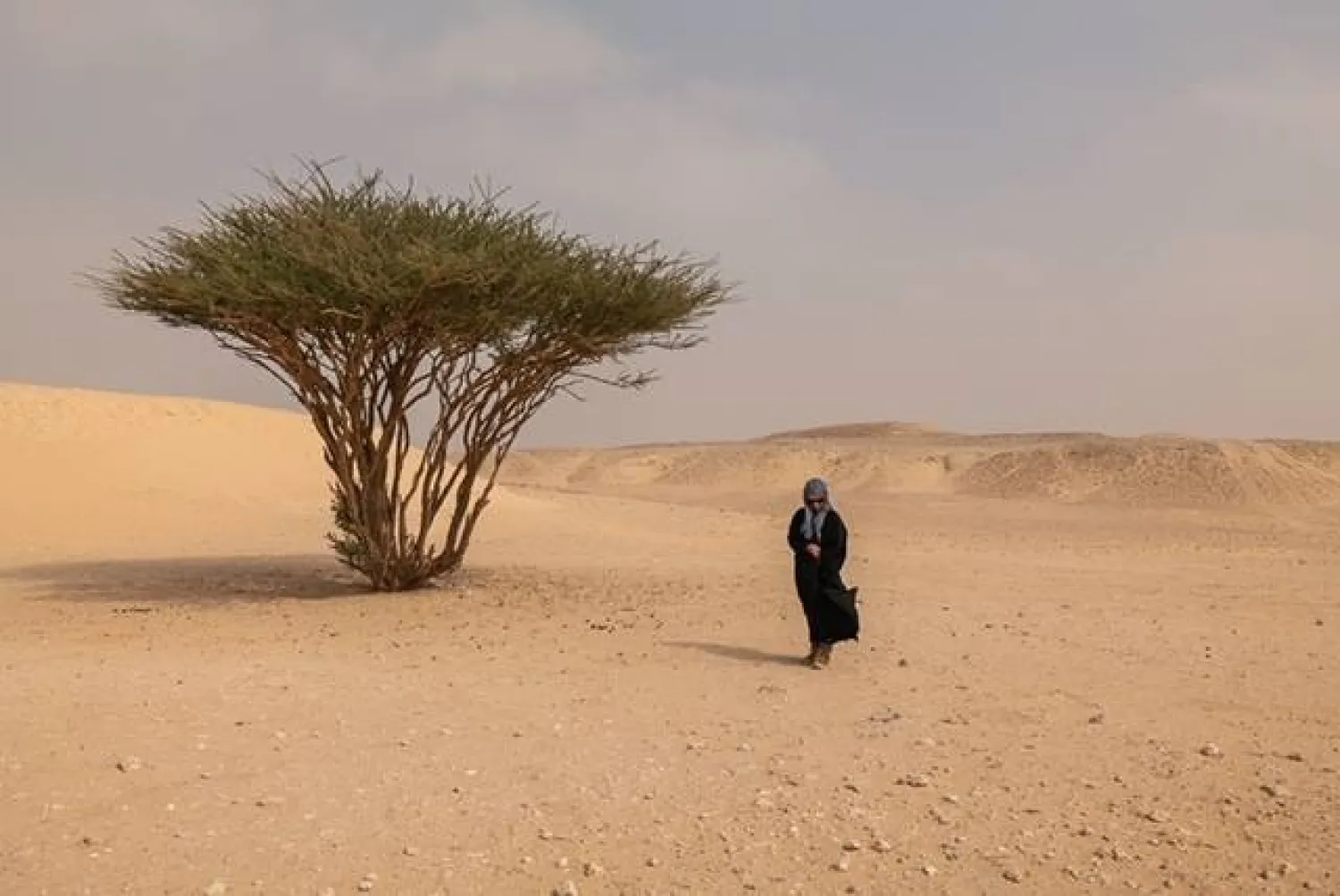  ريم فيلبي تتبع خطى جدها في رحلة لاستكشاف الصحراء (خاص الشرق الأوسط) 