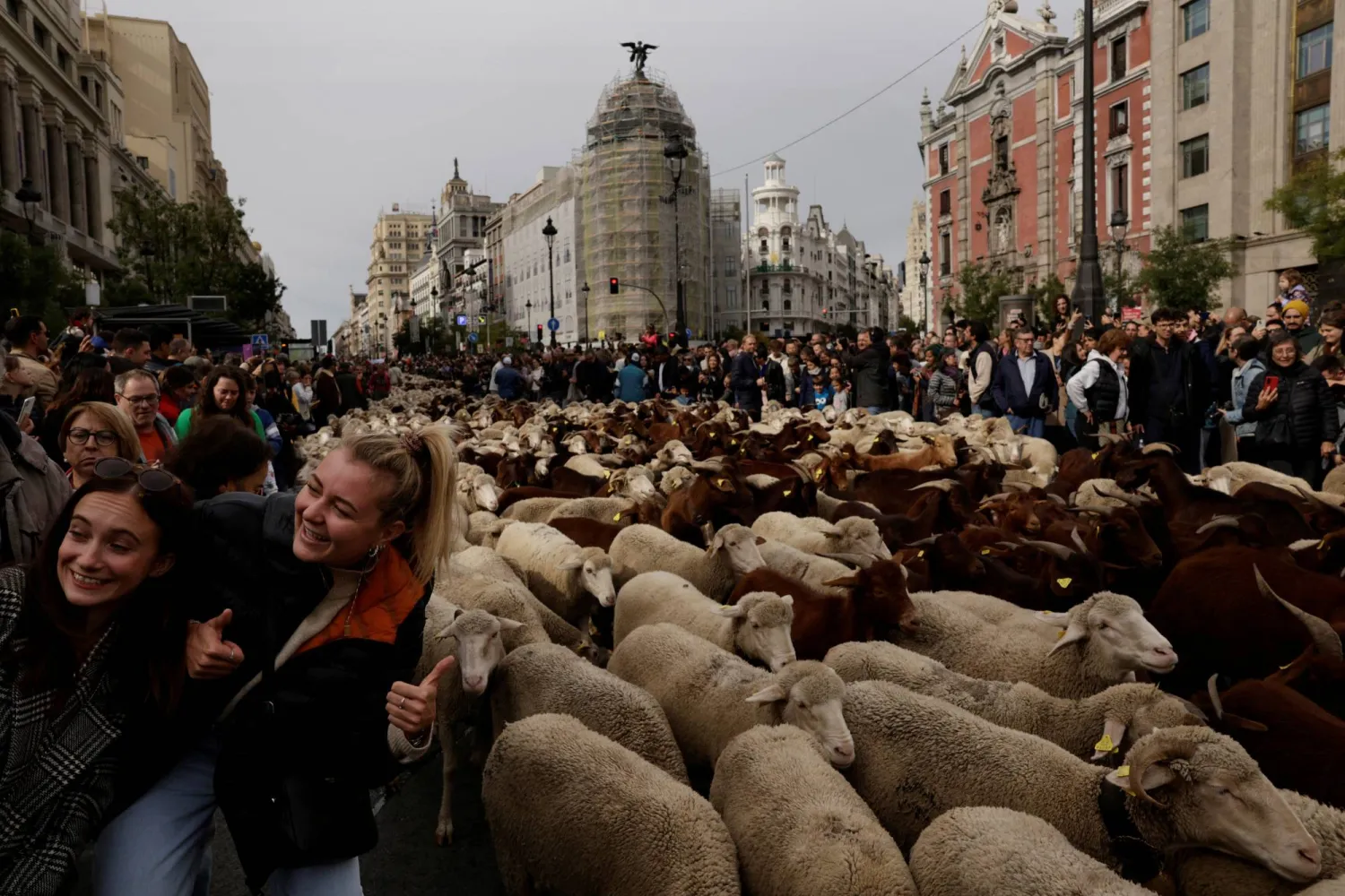 Women have their picture taken next to a flock of sheep during the annual parade on the streets of Madrid, as shepherds demand to exercise their right to use traditional migration routes for their livestock from northern Spain to winter grazing pasture land in southern Spain, in Madrid, Spain October 22, 2023. REUTERS/Susana Vera
